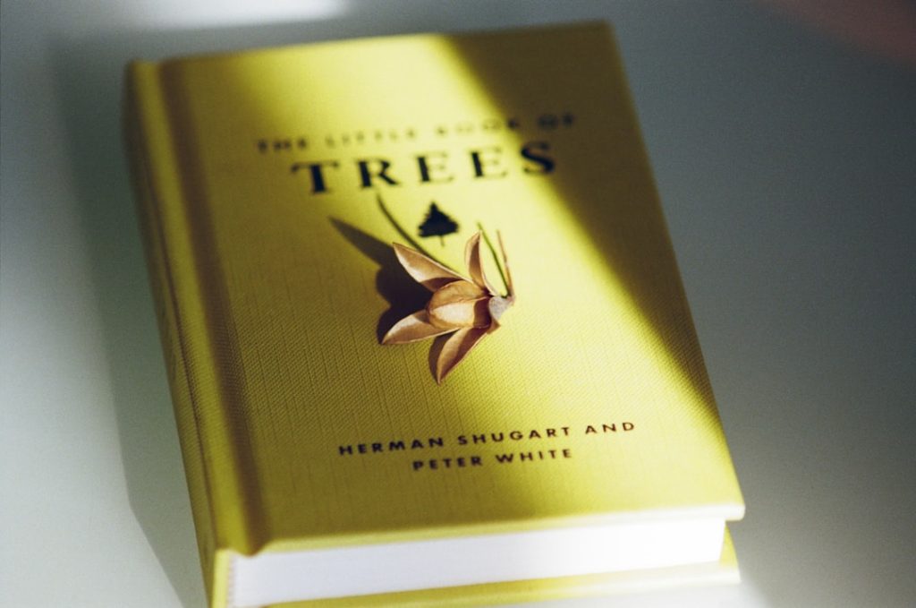 erfahren sie alles über thripse: erkennung, bekämpfung und prävention von schäden an pflanzen durch diese winzigen schädlinge.