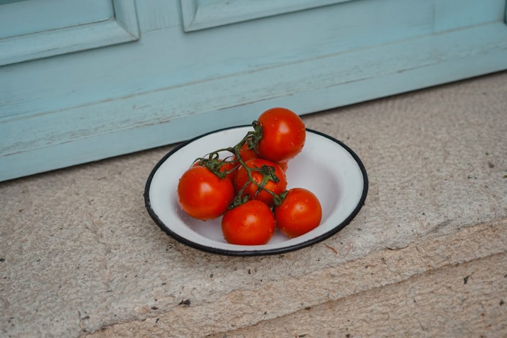 erfahren sie, wie sie tomaten richtig pflanzen und pflegen, um eine reiche und gesunde ernte zu erzielen. tipps für standort, boden, pflanzzeit und pflege.