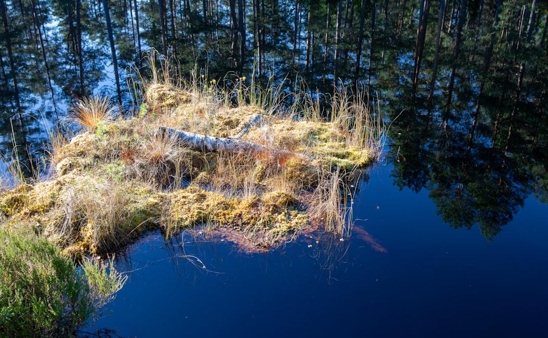 entdecken sie die vielseitigen eigenschaften von torf: ein organisches material, das in der landwirtschaft, im gartenbau und als nachhaltige energiequelle verwendet wird.