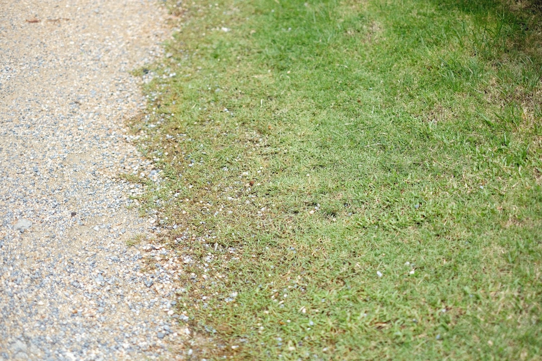 effektiver unkrautentferner für einen gepflegten garten – schnell und einfach unerwünschtes unkraut beseitigen.